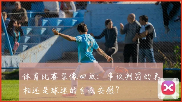 体育比赛录像回放:争议判罚的真相还是球迷的自我安慰?