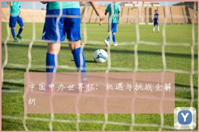 中国申办世界杯：机遇与挑战全解析