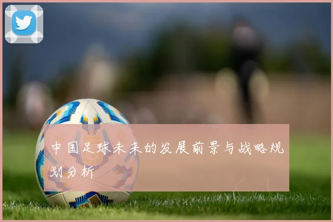 中国足球未来的发展前景与战略规划分析