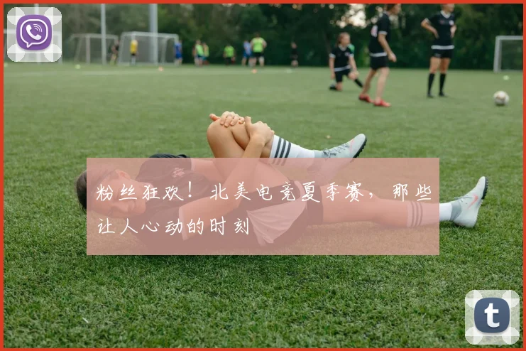 粉丝狂欢!北美电竞夏季赛,那些让人心动的时刻