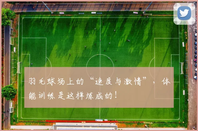 羽毛球场上的“速度与激情”,体能训练是这样炼成的!