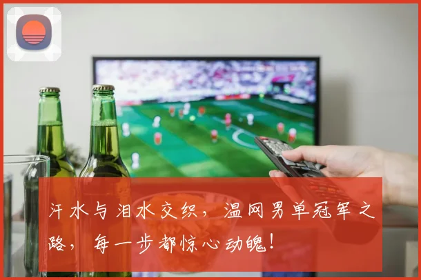 汗水与泪水交织，温网男单冠军之路，每一步都惊心动魄！