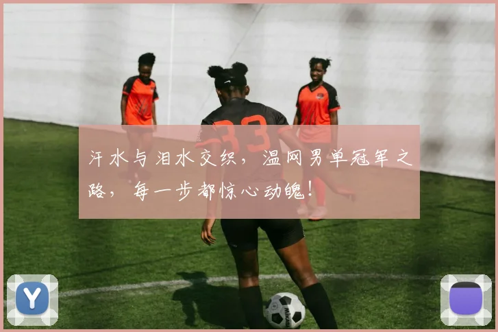 汗水与泪水交织,温网男单冠军之路,每一步都惊心动魄!